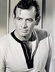 David Janssen | Classic movie stars, Movie stars, Star david