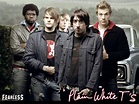 Plain White T's - Plain White T's Wallpaper (95908) - Fanpop