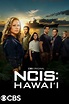 Hawaii Season 3 Poster Shows First Look At OG Los Angeles Character ...