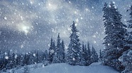 Snow Falling Wallpapers - Top Free Snow Falling Backgrounds ...