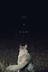 'It Comes At Night' Trailer: The Director Of 'Krisha' Has Made A Horror ...