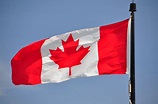 File:Drapeau canadien - Canadian flag (4629119005).jpg - Wikimedia Commons