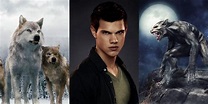 Twilight: 9 Ways The Werewolves Are Different From Conventional Werewolves