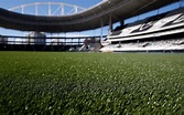 Novo gramado do Estádio Nilton Santos recebe o certificado FIFA QUALITY ...