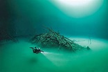 Check Out Some of the World's Best Underwater Photographs | Croatia Times