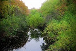 Pequonnock River, Trumbull CT Photograph by Thomas Henthorn - Fine Art ...