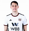Fulham FC - Saša Lukić