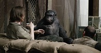 Talking Monkey Movies | Fandango