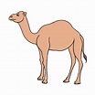 Cómo dibujar un camello - Inktober 2019