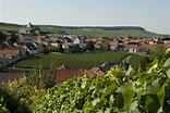The Small Village that Houses the World's Best Champagne | Wine ...