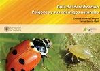 Tipos de pulgones y sus enemigos naturales – www.tecnicoagricola.es