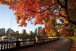 Stanley Park | The Canadian Encyclopedia