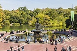 La Gente Tiene Un Resto En Central Park, Nueva York Imagen editorial ...