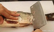 魚鱗有些什麼功效與作用 魚鱗有什麼營養價值 怎麼烹飪魚鱗 - 每日頭條