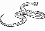 A Green Anaconda Coloring Page - Free Printable Coloring Pages for Kids