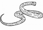20+ Anaconda Coloring Page - IsaBoubacar