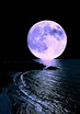 Pin de BLUE em Moon night | Fotografia da lua, Lua, Fotos da lua