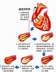 通波仔_百度百科