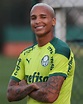 Palmeiras inscreve novos atletas na Libertadores; Deyverson assume a ...