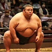 24 Answers About Sumo Wrestlers