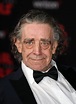 'Star Wars' Actor Peter Mayhew Dies at Age 74, Best Known for ...