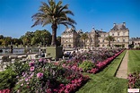 Paris : le jardin du Luxembourg considéré par les touristes comme "le ...