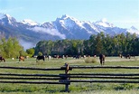 Northwest Wyoming Ranch Vacations | The Dude Ranchers Association