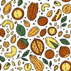 Nuts and Seeds vector seamless pattern in the Doodle style. 3175272 ...