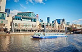 Iconic Yarra River Cruise Business For Sale Melbourne, VIC | Xcllusive ...
