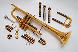 🥇 Partes de una Trompeta y Para Qué Sirve Cada Una