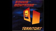 Territory - Ronnie Montrose - YouTube