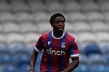 Crystal Palace’s Nathan Ferguson facing fresh lay-off with serious ...