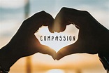 Now, what to do? COMPASSION | Conducting My Life
