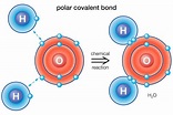 Definition and Examples of a Polar Bond