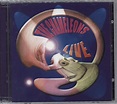 The Chameleons Live At The Academy UK 2-CD album set — RareVinyl.com