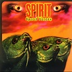 Spirit – Spirit Voices (1996, Vinyl) - Discogs