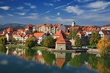 Erasmus Experience in Maribor, Slovenia by Diogo | Erasmus experience ...