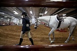 Photos: Midwest Horse Fair draws equine enthusiasts to Madison's ...