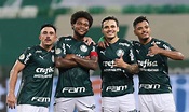 Palmeiras estreia neste domingo no Mundial de Clubes da Fifa - Jornal O ...