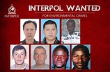 INTERPOL makes public appeal to help track environmental fugitives