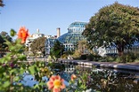 Brooklyn Botanic Garden, New York, USA - Traveldigg.com