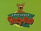 A Pup Named Scooby-Doo season 4 | Scoobypedia | Fandom