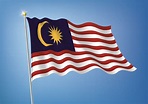 馬來西亞華語:發展歷史,特點,口語,語音,書寫系統,所受影響,辭彙,_中文百科全書