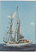 AK Foto Segelschulschiff Wilhelm Pieck ansichtskarte markt kaufen