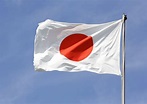 Bandera de JAPÓN: Imágenes, Historia, Evolución y Significado