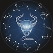 Taurus Constellation | Zodiac signs taurus, Zodiac signs, Horoscope taurus