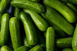 Cucumber Varieties: A Guide To Different Types And Uses - MAXIPX