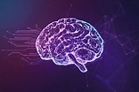 Brainwaves: What You Need To Know | Cognitive Solutions LC