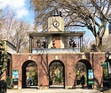 Central Park Zoo - A Family Guide to NYC's Central Park- What to See ...