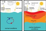 Increasing Marine Heatwaves in the Indian Ocean and the Monsoon ...